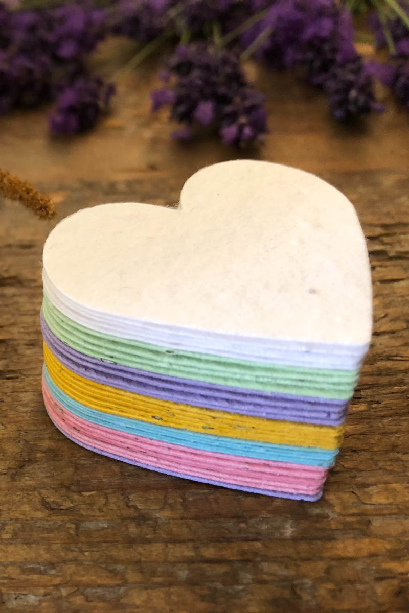 Seed Paper Hearts