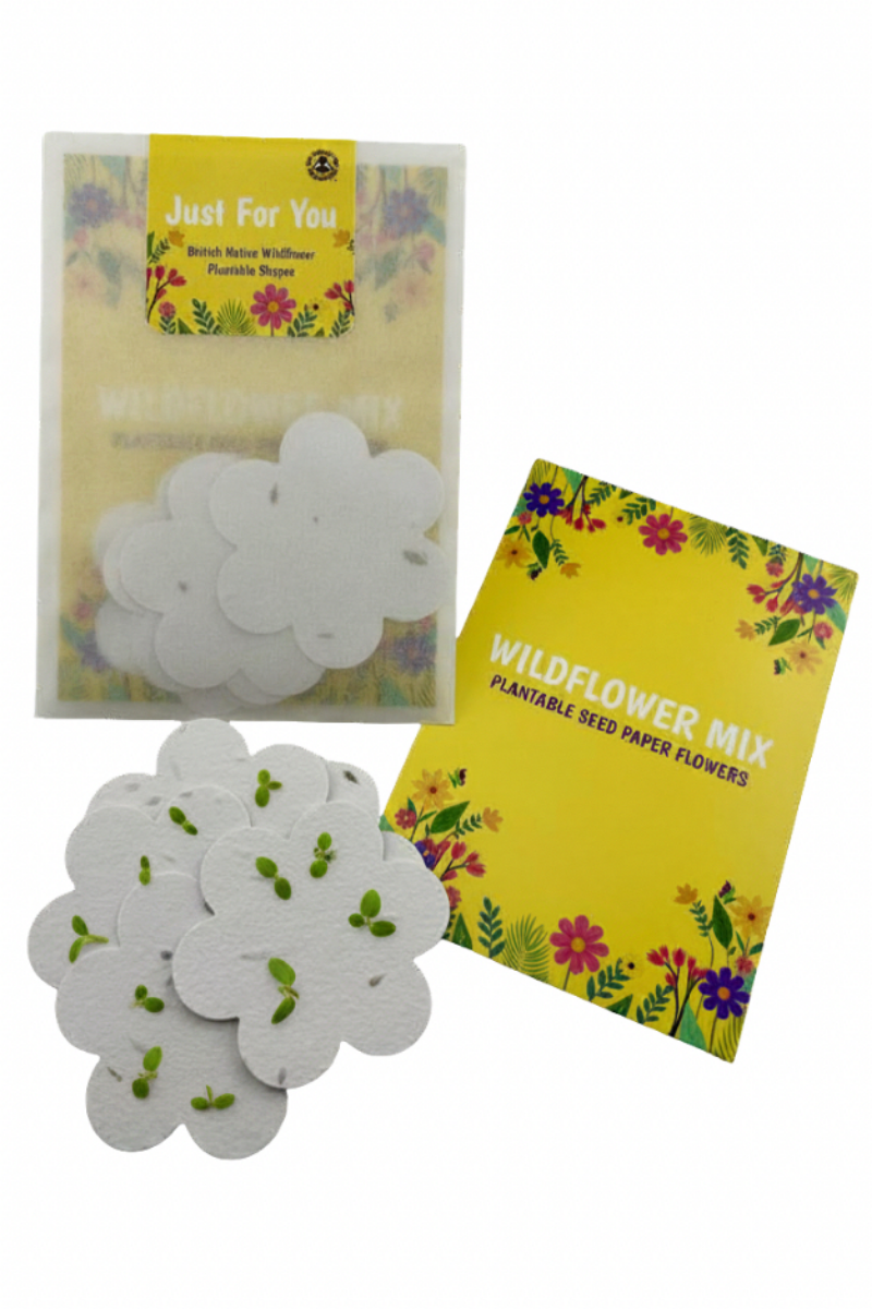 Small Pack of Plantable Wildflower Paper Blooms