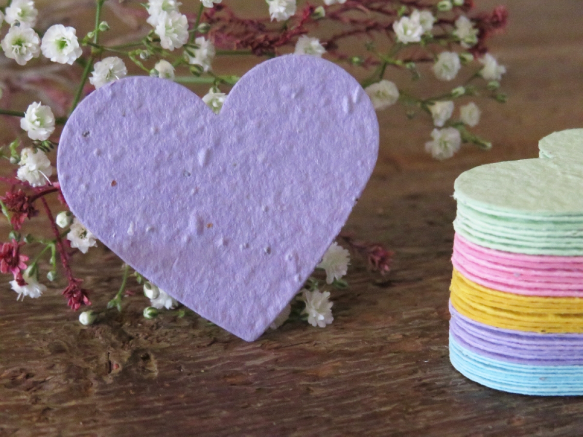 Seed Paper Hearts