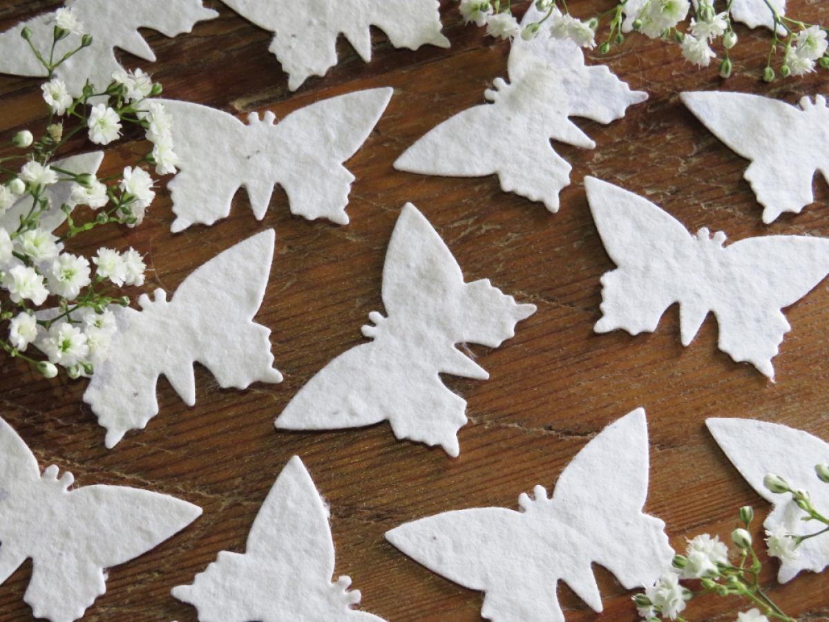Seed Paper Butterflies