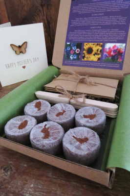 Grow Your Own Flowers Kit With Handmade Mother