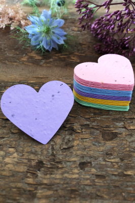Multicoloured Seed Paper Hearts Multicoloured Seed Paper Hearts