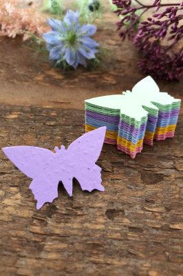 Multicoloured Seed Paper Butterflies