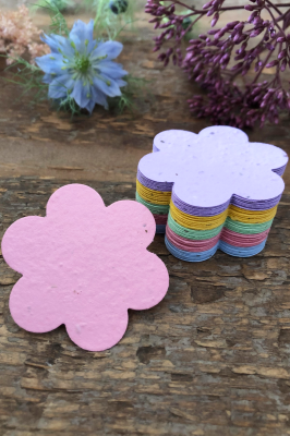 Multicoloured Seed Paper Flowers