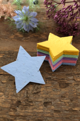 Multicoloured Seed Paper Stars