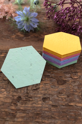 Multicoloured Seed Paper Hexagons