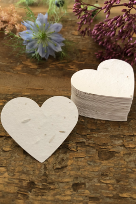 White Seed Paper Hearts