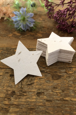 White Seed Paper Stars