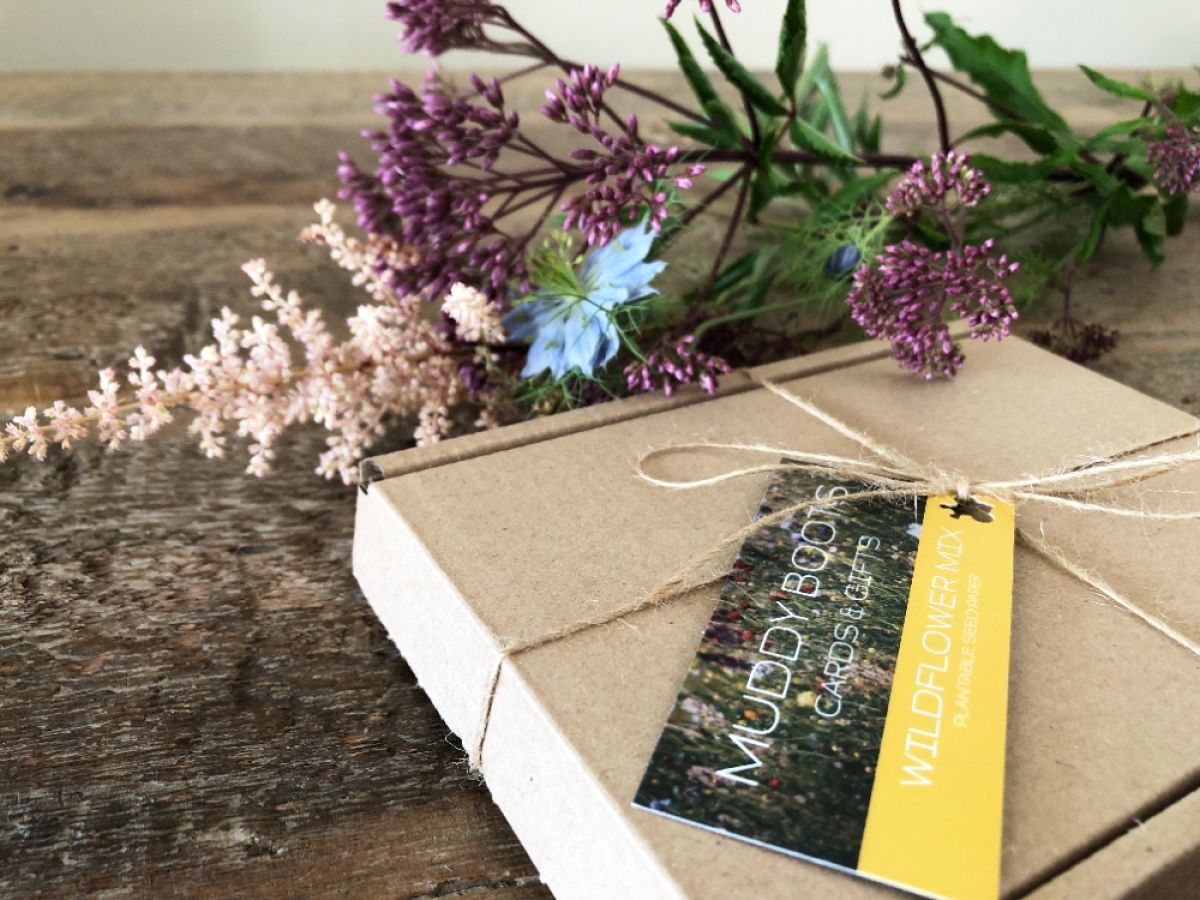 White Seed Paper Hexagons
