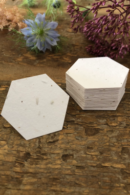 White Seed Paper Hexagons