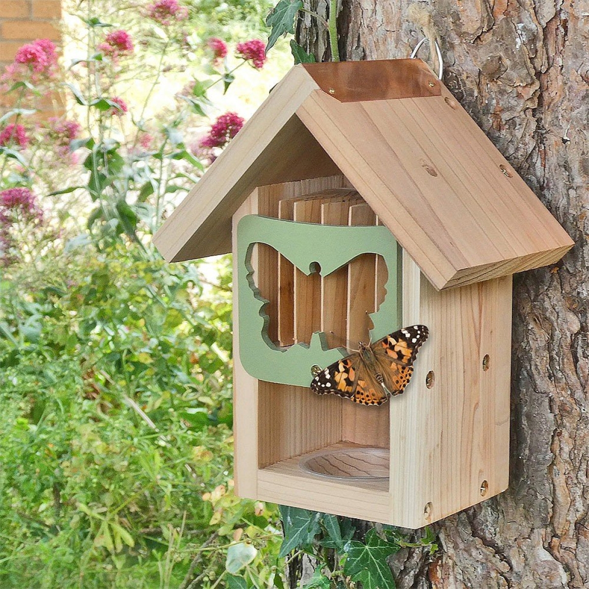 Butterfly House