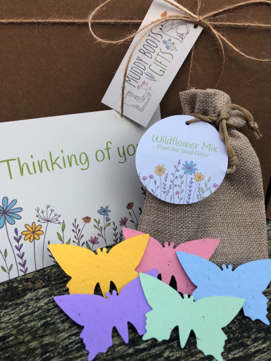 Butterfly Gift Box