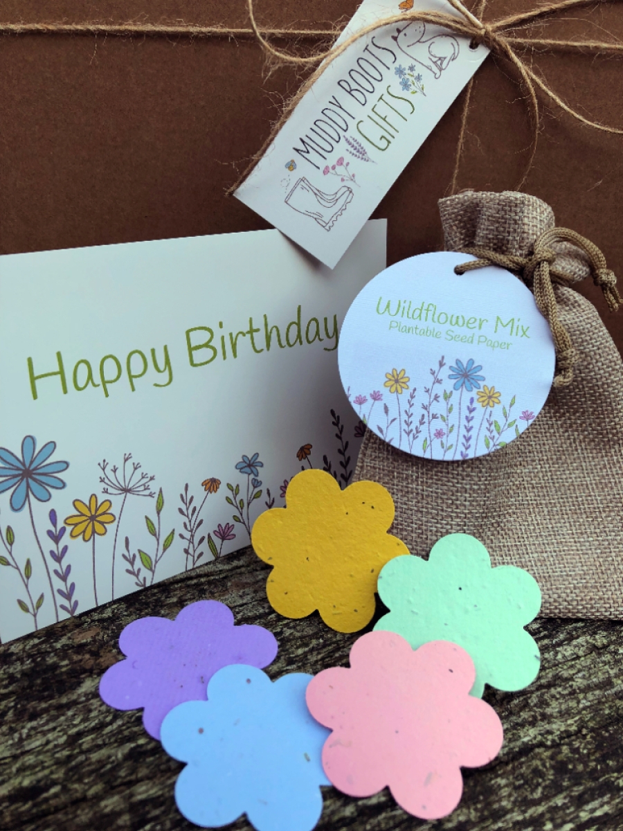 Bird Gift Box