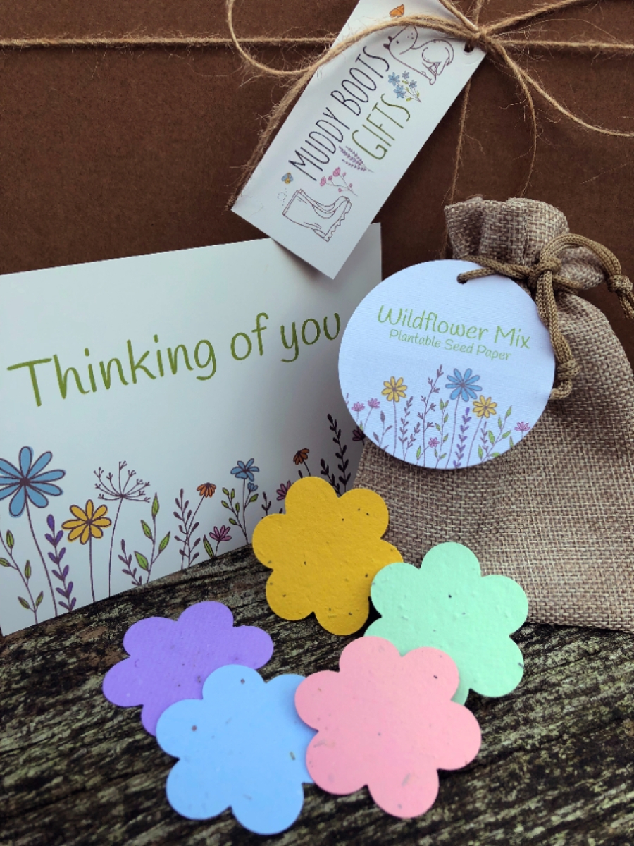 Bird Gift Box