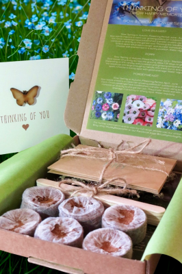 Remembrance Seeds Gift Box with Handmade Sympathy Card Remembrance Seeds Gift Box with Handmade Sympathy Card