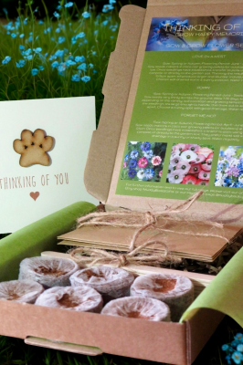 Pet Remembrance Seeds Gift Box with Handmade Sympathy Card Pet Remembrance Seeds Gift Box with Handmade Sympathy Card