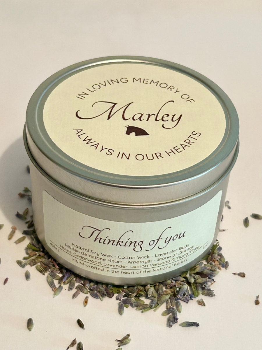 Hidden Gemstone Heart Horse Sympathy Candle Gift Set