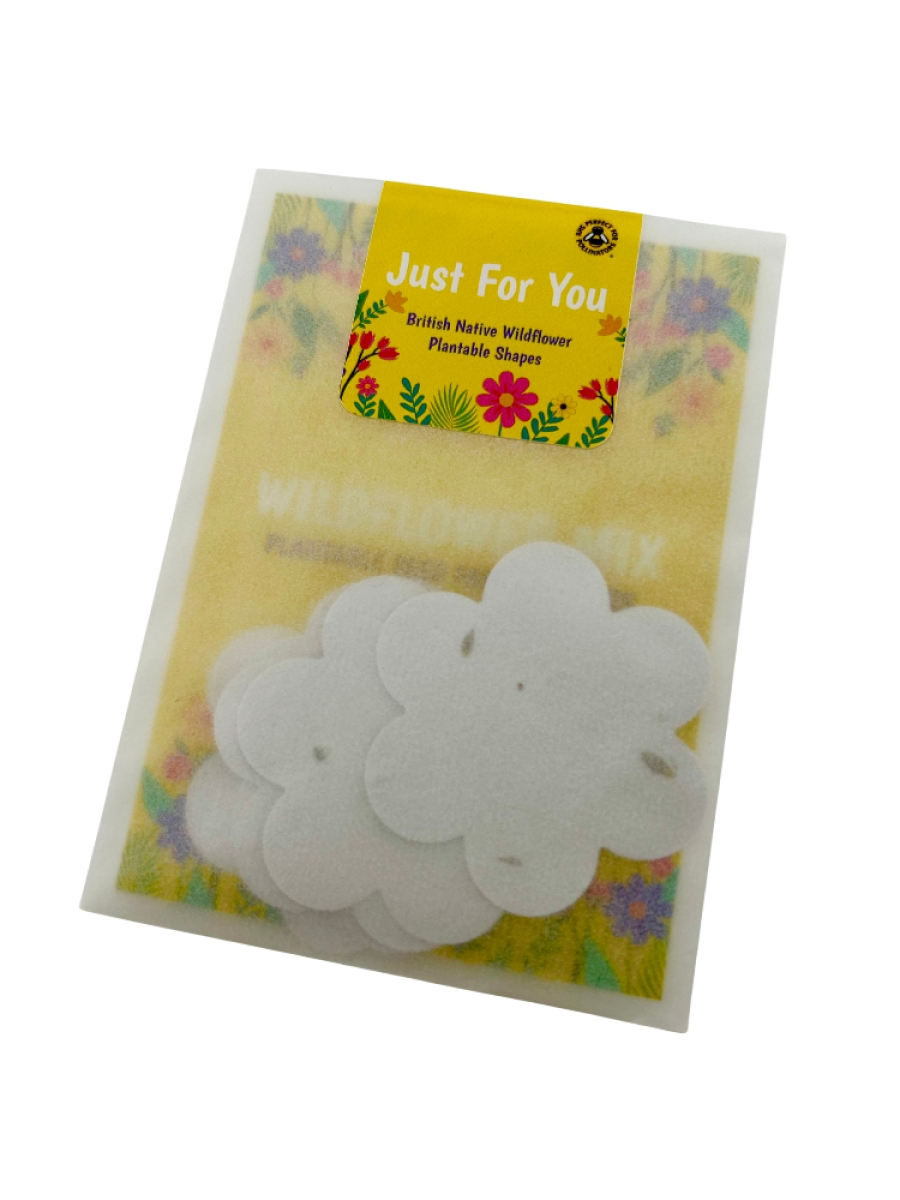 Small Wholesale Packets of Wildflower Seed Paper Flowers