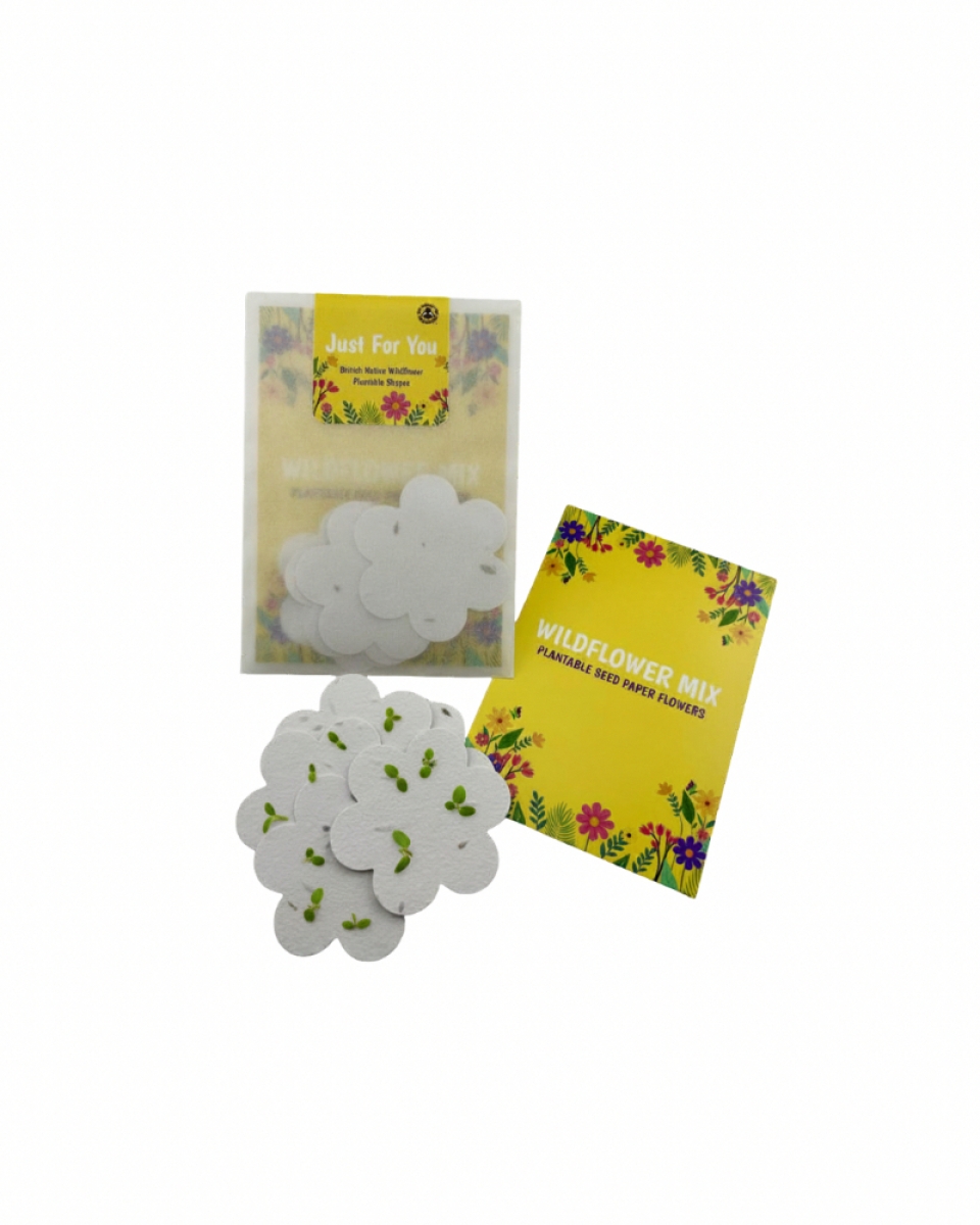 Small Wholesale Packets of Wildflower Seed Paper Flowers