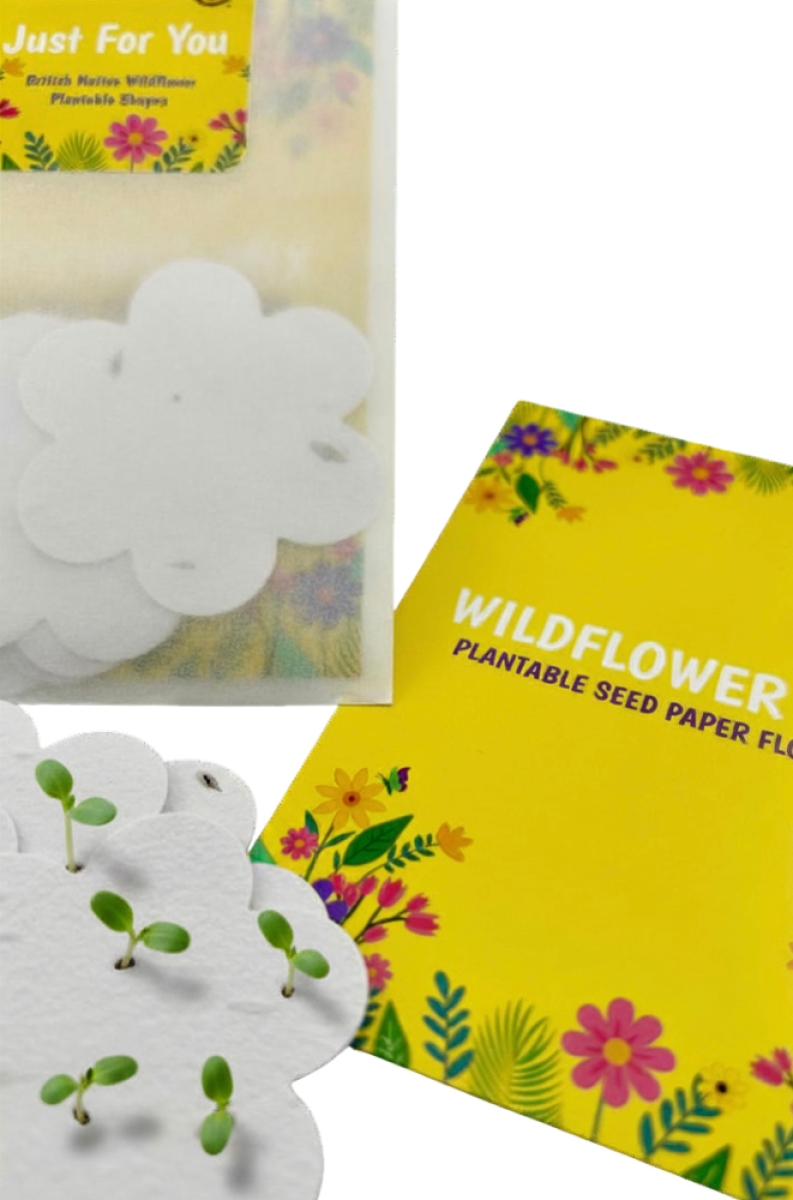 Large Wholesale Packets of Wildflower Seed Paper Flowers