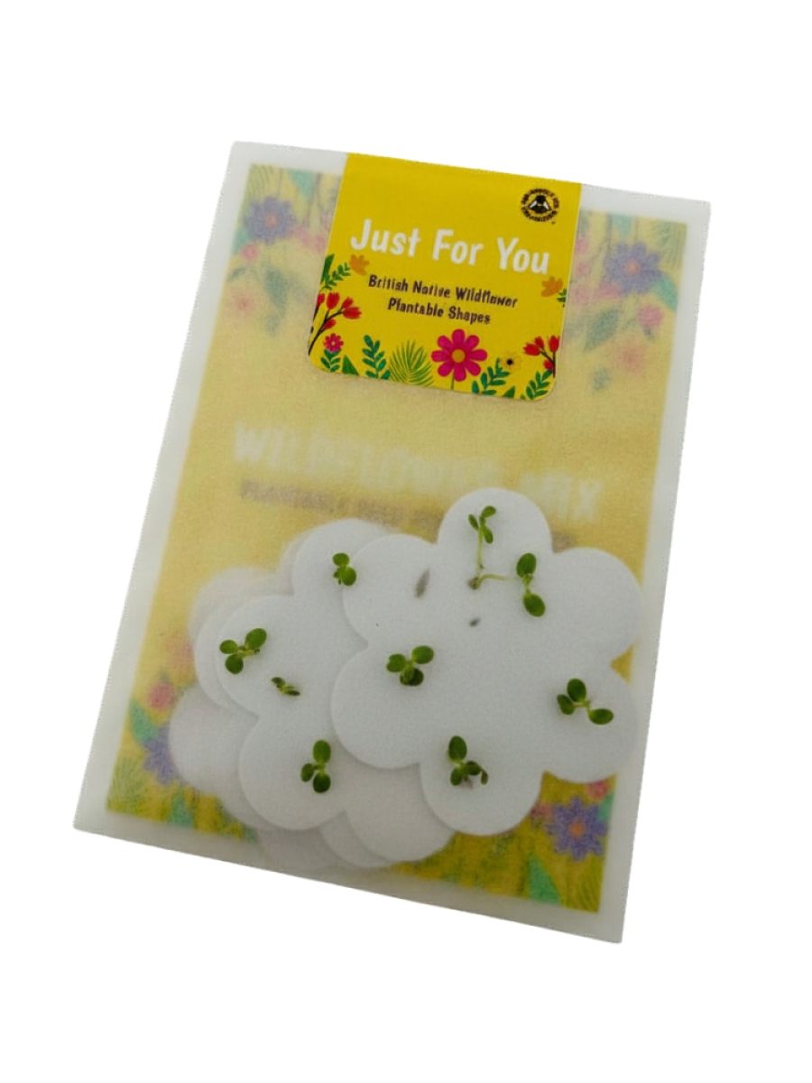 Large Wholesale Packets of Wildflower Seed Paper Flowers